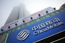 （9分钟教程）博尔塔拉蒙古自治州政府网 考察预告_哔哩哔哩-2